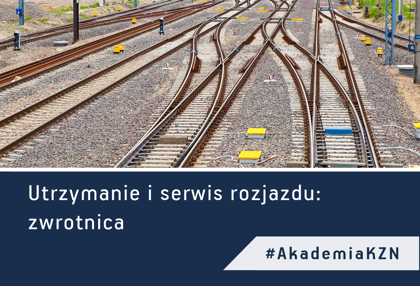 Utrzymanie i serwis rozjazdów: zwrotnica